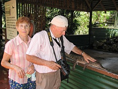 097 Port Douglas Wildlife Habitat